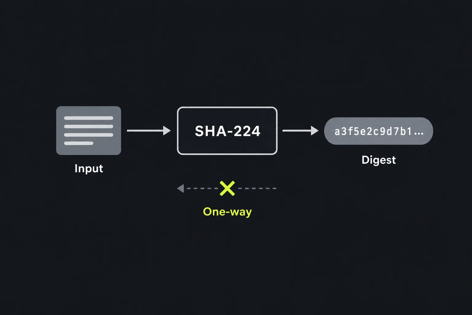 Diagram showing input text passing through the SHA-224 function to produce a fixed-length digest that cannot be reversed