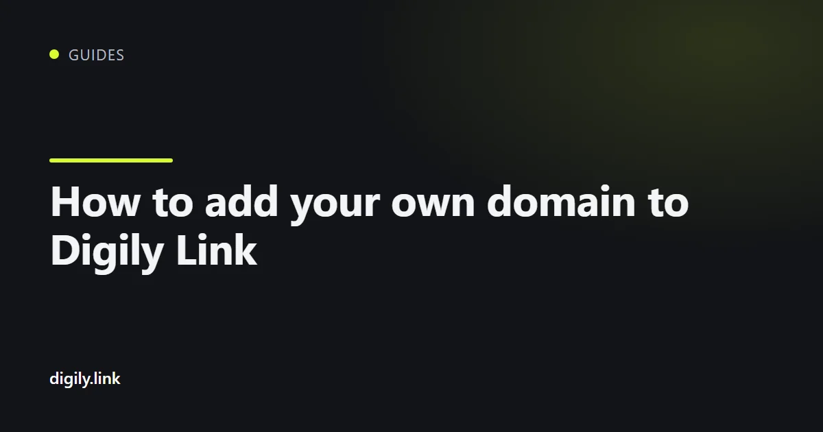 The connect custom domain screen in the Digily Link dashboard