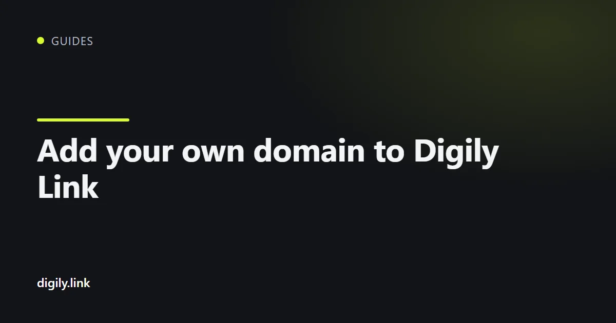 The Connect custom domain screen in the Digily Link dashboard