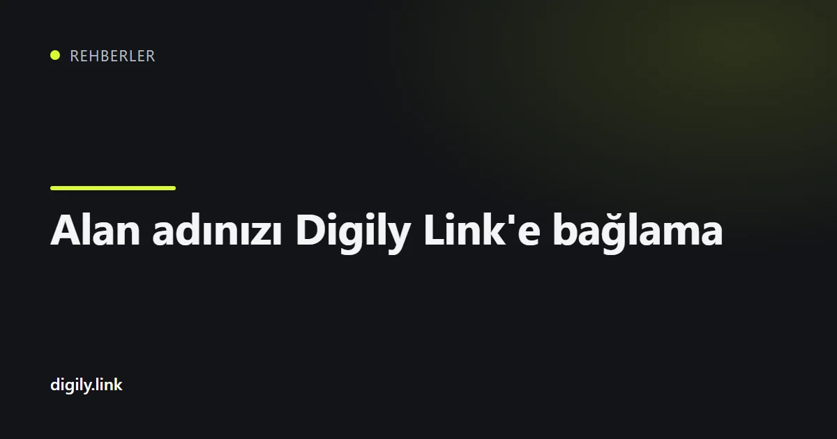 Digily Link panelindeki özel alan adı bağlama ekranı