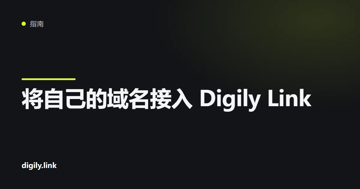 Digily Link 控制面板中的连接自定义域名页面