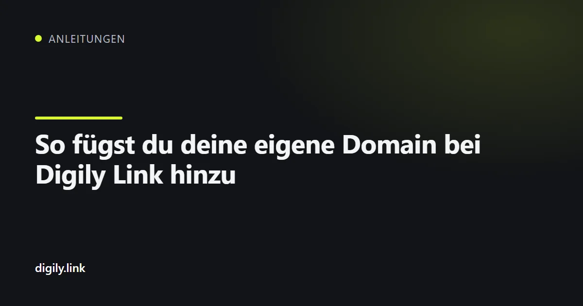 Der Bildschirm zum Verbinden einer eigenen Domain im Digily-Link-Dashboard